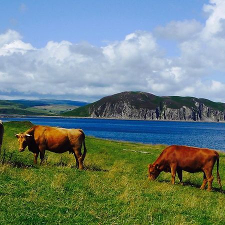 Rural Farmhouse On Kintyre, West Coast Hidden Gem Kildalloig Eksteriør bilde