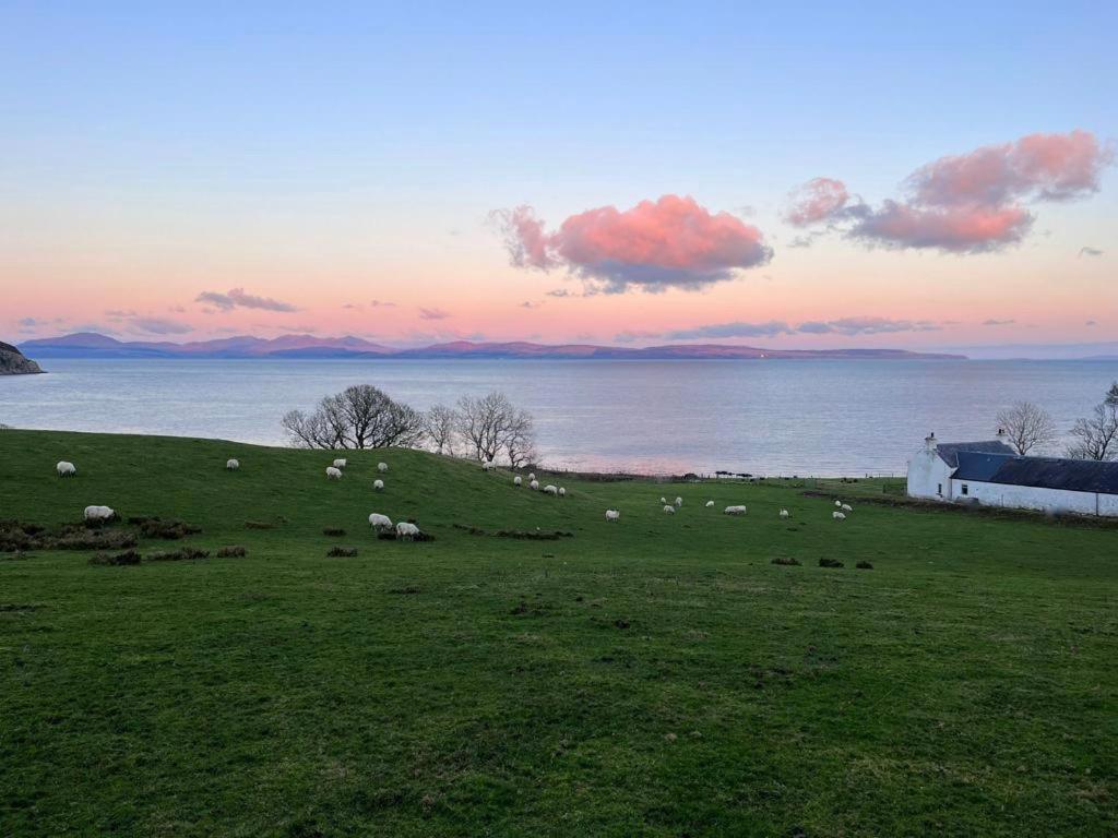 Rural Farmhouse On Kintyre, West Coast Hidden Gem Kildalloig Eksteriør bilde